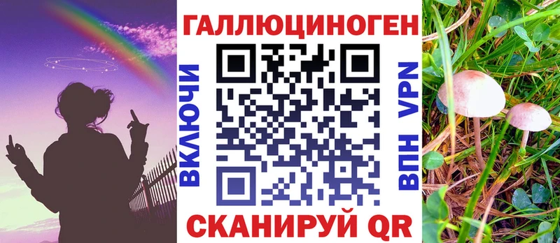Галлюциногенные грибы Psilocybe Онега